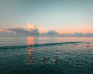 Surfing and Paddle boarding