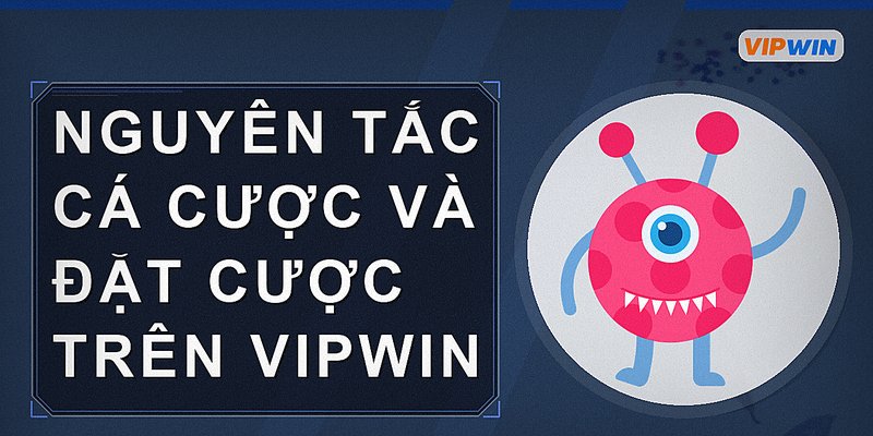 Nguyên tắc cá cược và đặt cược trên vipwin